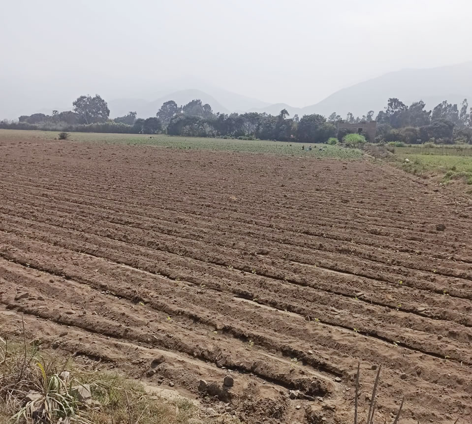 Vendo terreno de 8 hectáreas en Cieneguilla