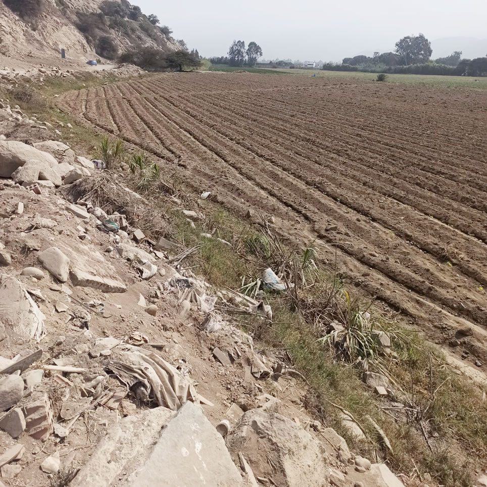 Vendo terreno de 8 hectáreas en Cieneguilla