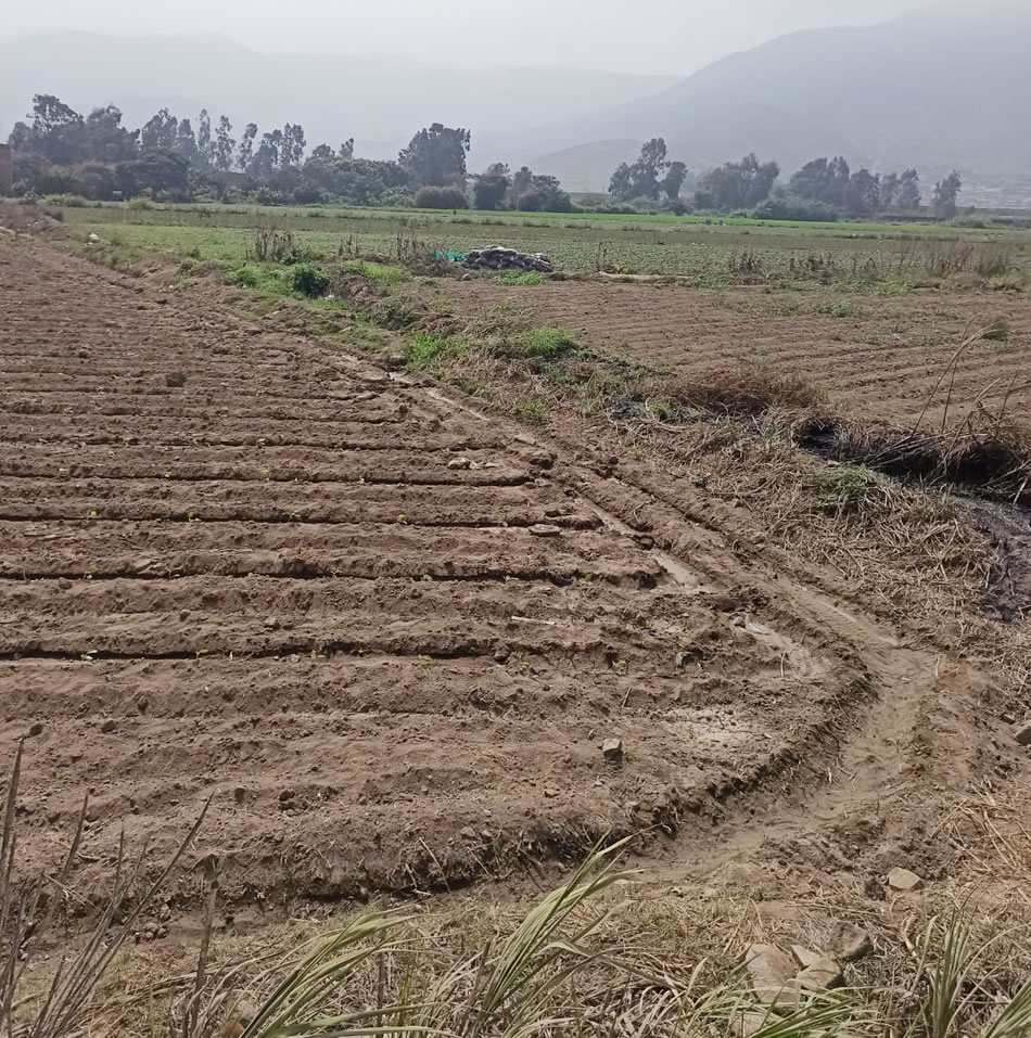 Vendo terreno de 8 hectáreas en Cieneguilla