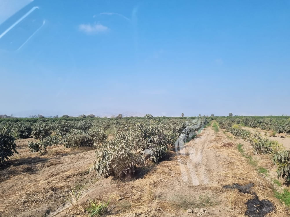 En venta terreno agrícola de 25 hectáreas en distrito El Carmen