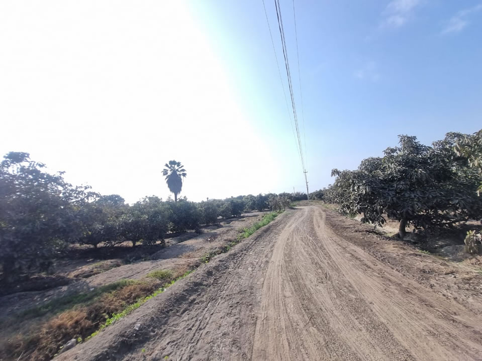 En venta terreno agrícola de 25 hectáreas en distrito El Carmen