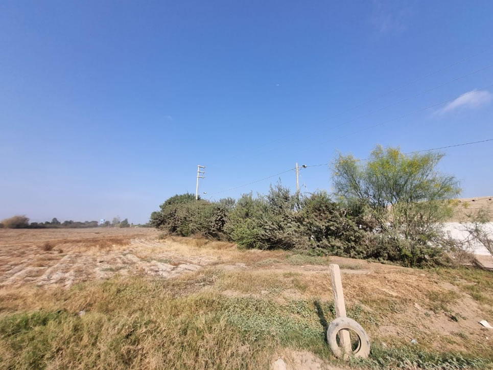 En venta terreno agrícola de 25 hectáreas en distrito El Carmen