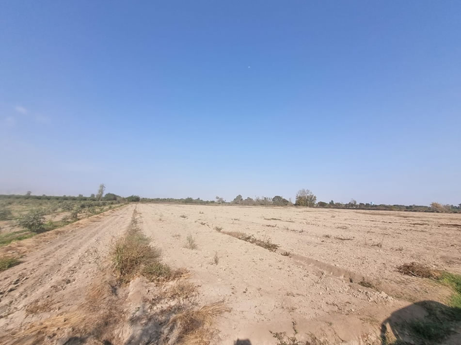 En venta terreno agrícola de 25 hectáreas en distrito El Carmen