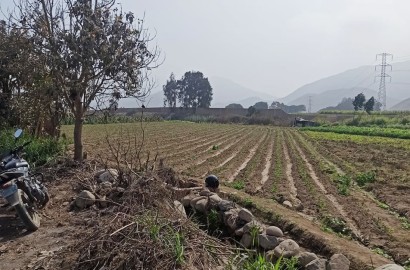 Vendo de terreno para vivienda en Cieneguilla