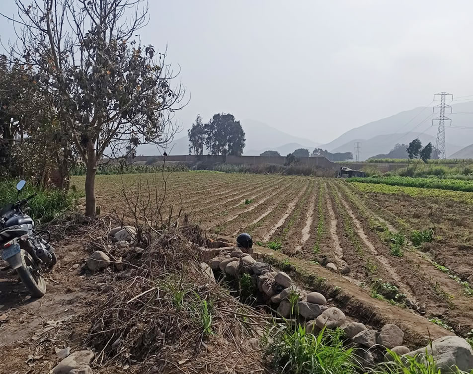 Vendo de terreno para vivienda en Cieneguilla