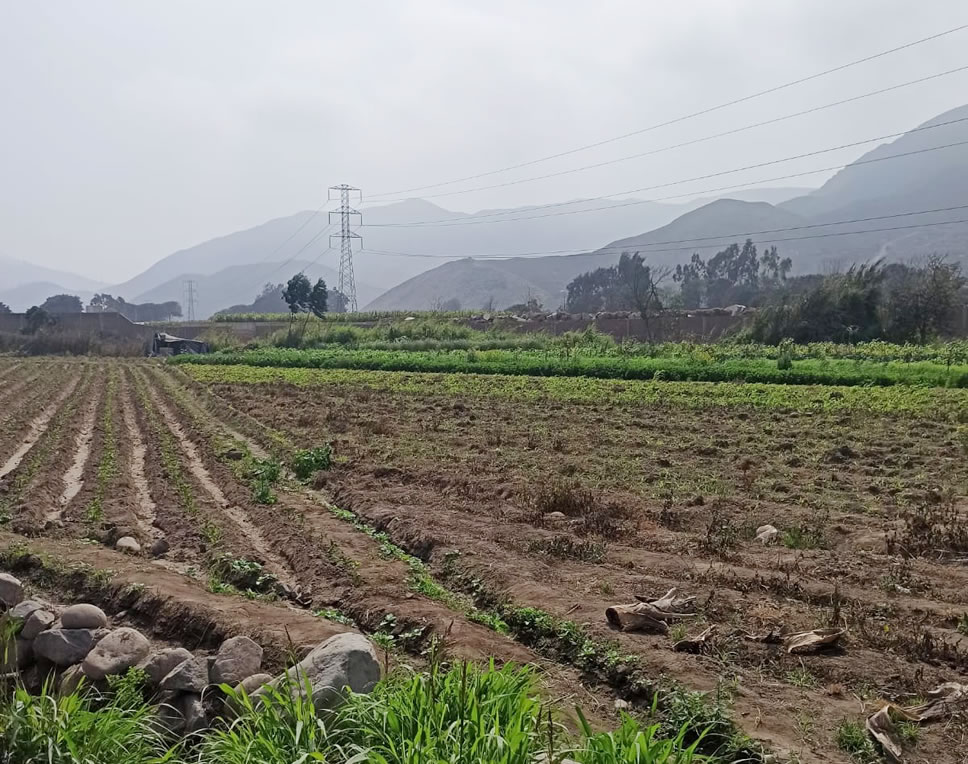 Vendo de terreno para vivienda en Cieneguilla