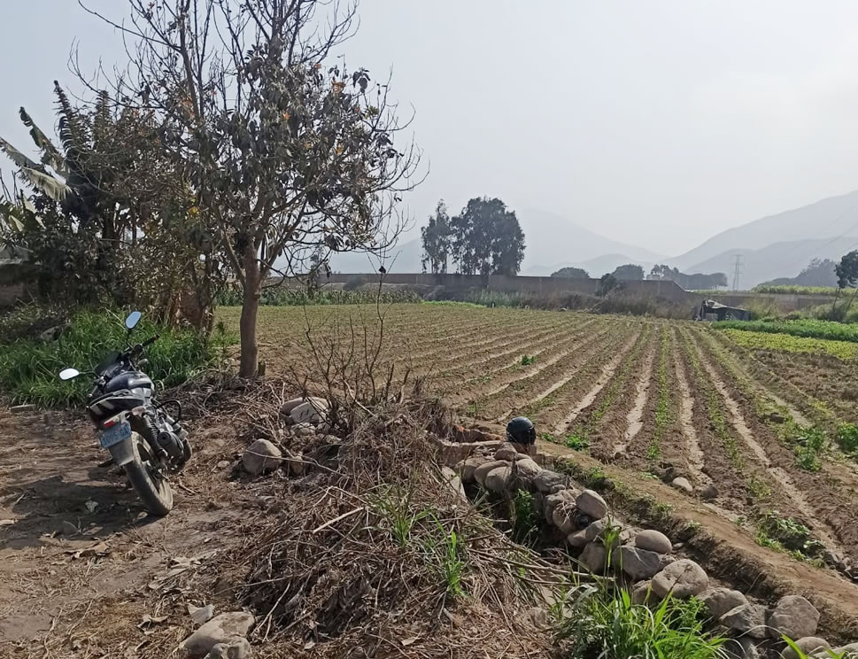 Vendo de terreno para vivienda en Cieneguilla