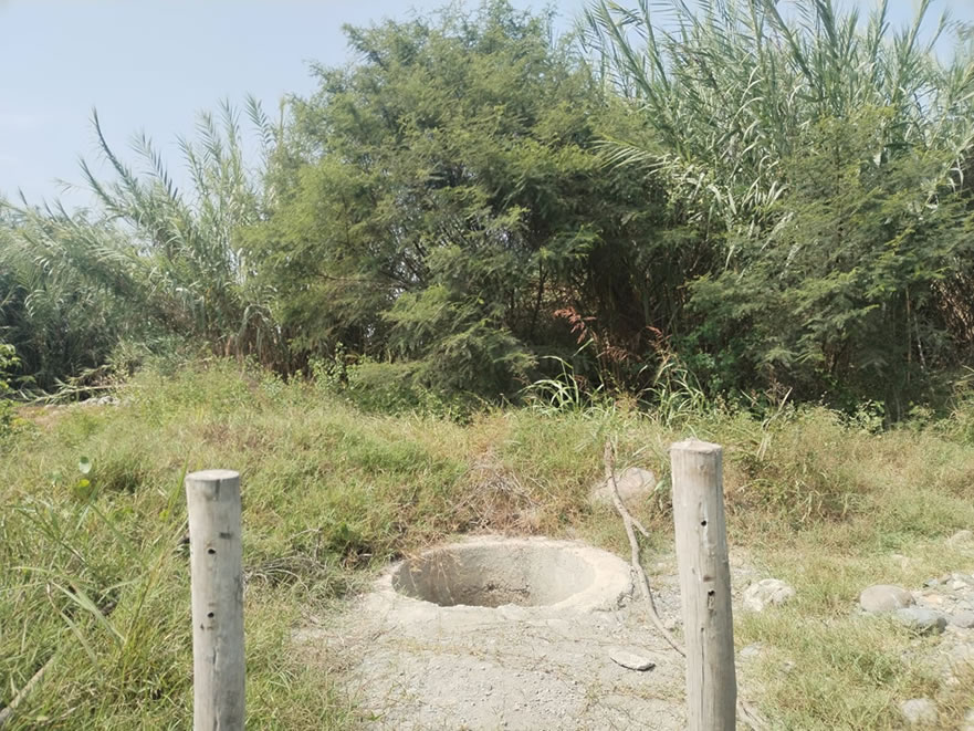 Vendo terreno agrícola de 12 hectáreas en Chincha