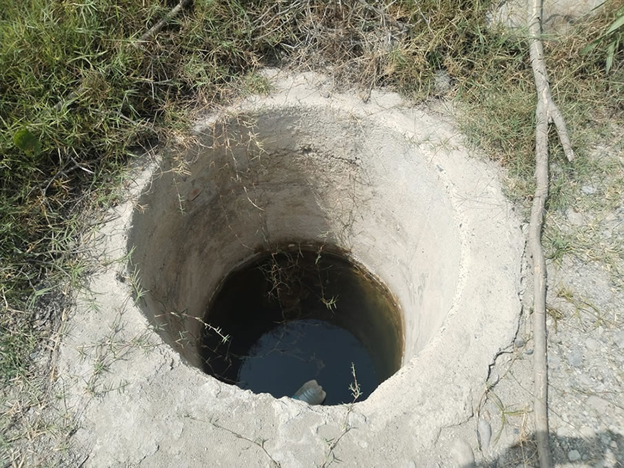 Vendo terreno agrícola de 12 hectáreas en Chincha