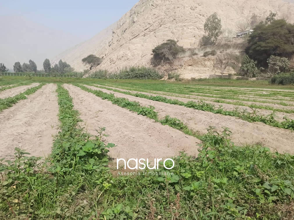 Se vende terreno en el valle de Cieneguilla