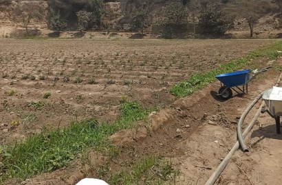 Vendo de terreno de una hectárea en Cieneguilla