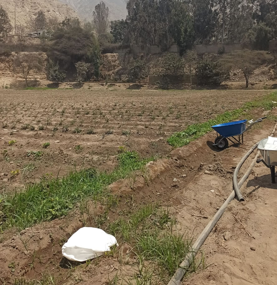 Vendo de terreno de una hectárea en Cieneguilla