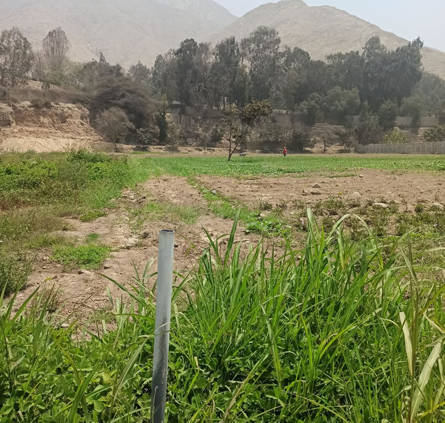 Vendo de terreno de una hectárea en Cieneguilla