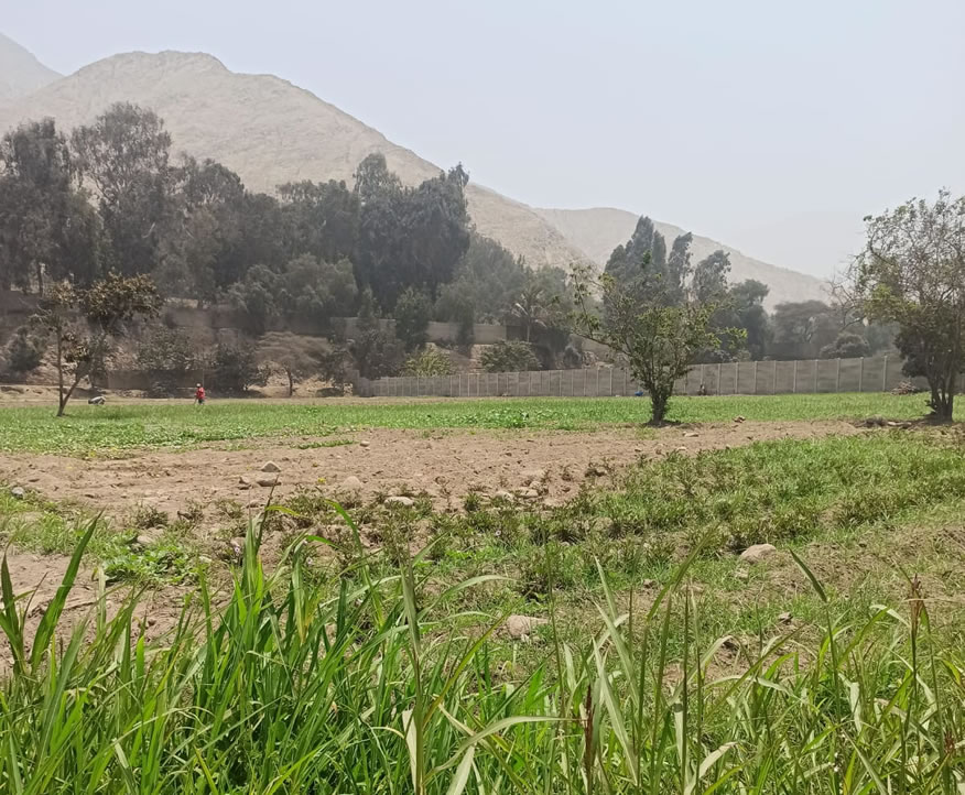 Vendo de terreno de una hectárea en Cieneguilla